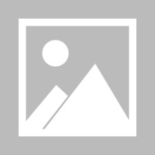 九游体育APP-全场球迷高喊佩德里