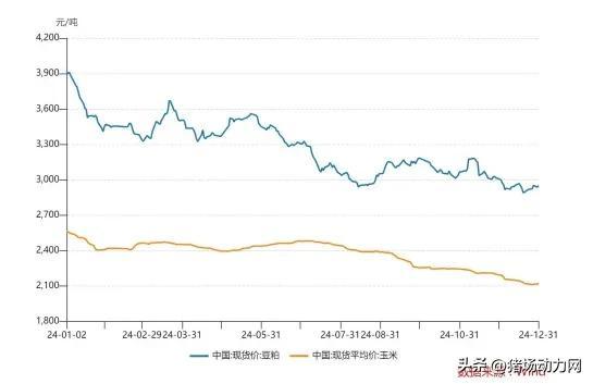 SEC遭遇大幅下滑超12.47%，投资者恐慌性抛售