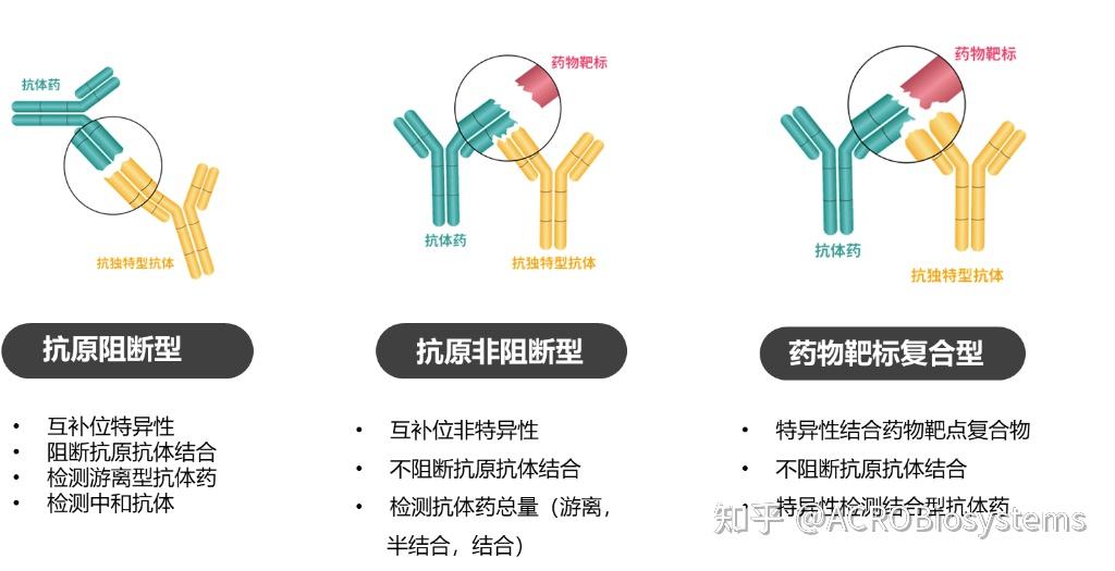 专家称ADA将在年底冲破13.94美元，引发引发关注-九游体育APP