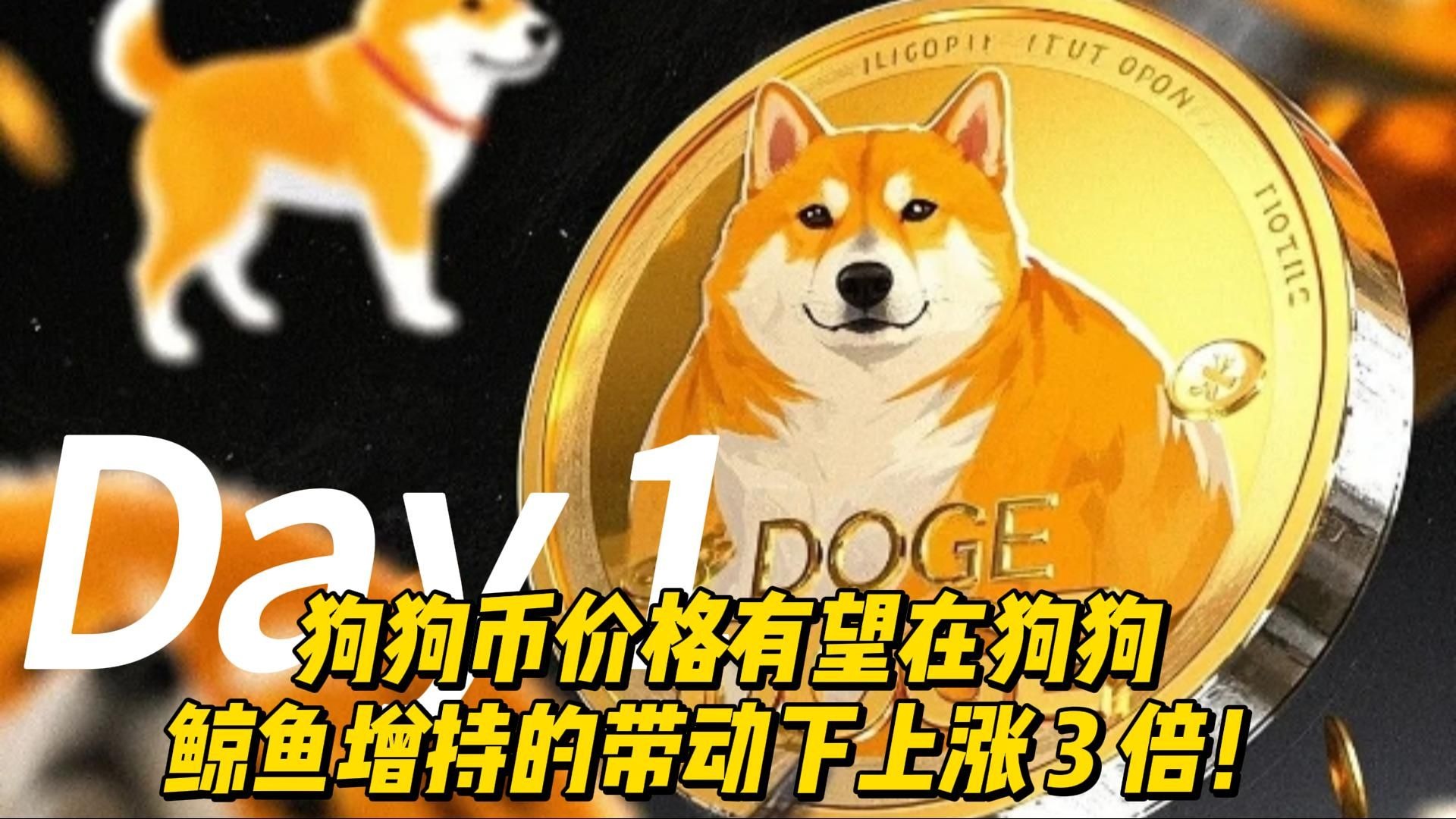 狗狗币刷新年度新高，走高幅高达9.03%，还还值得跟进吗？-九游登录入口