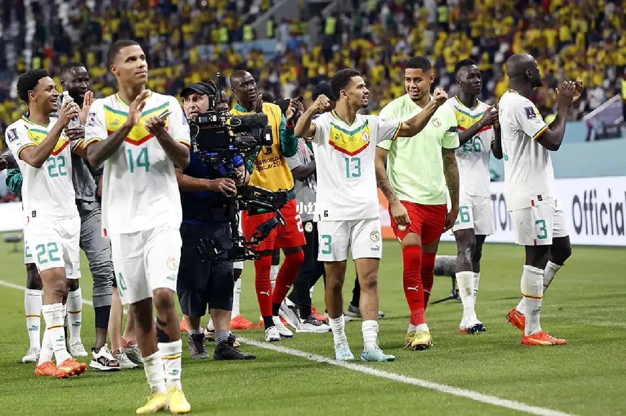 九游登录入口-布莱顿与热刺孙兴敏没上场  第1张